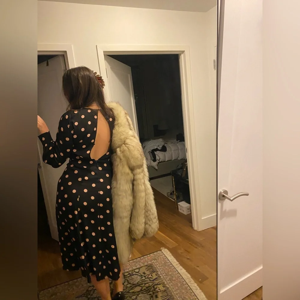 Reformation Polkadot dress - Picture 4 of 4